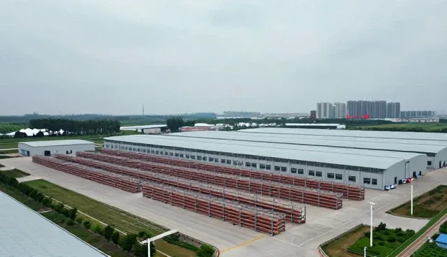 技术发展背景下品牌代理业务中的常见问题及应对策略